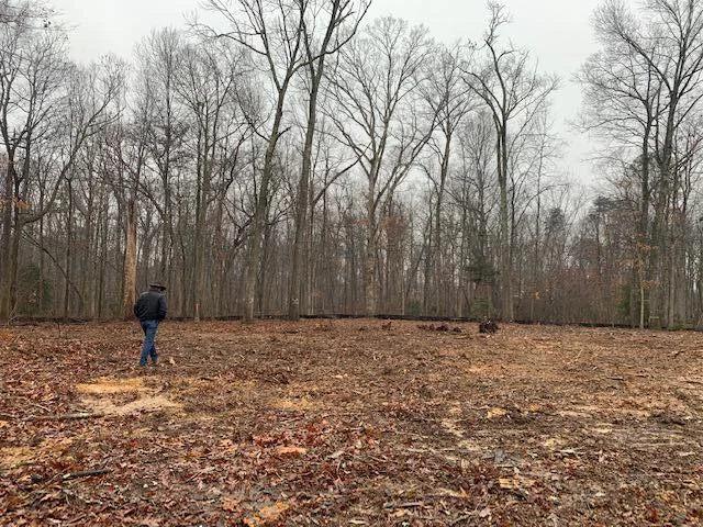 Custom Clearing Pasture Restoration