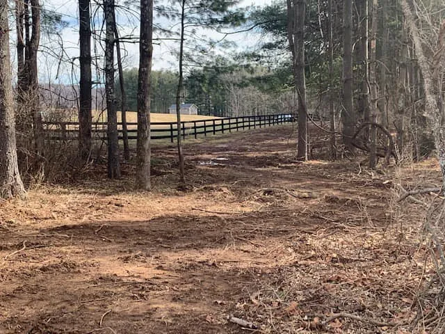 Custom Clearing Pasture Restoration — photograph 4