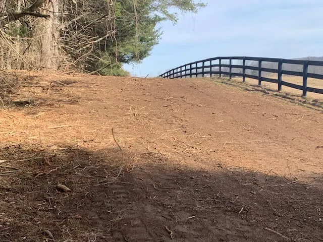 Custom Clearing Pasture Restoration — photograph 5